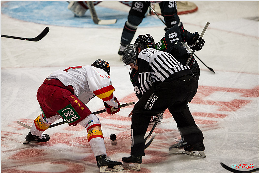 Koelner Haie - Duesseldorfer EG, 18.12.2016